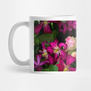 A Rose Among The Clematis Mug